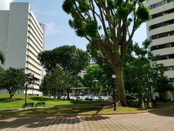 Ivory Heights (D22), Condominium #596418071